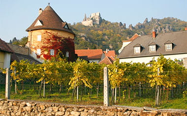 Kuenringer Castle ruins overlooking Dürnstein